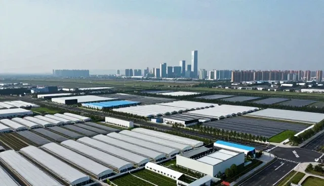 教学反馈在项目咨询中的流程优化实践